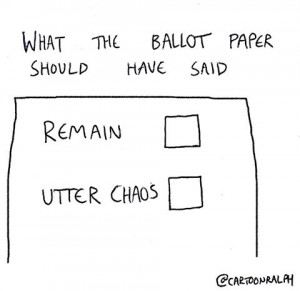 eu vote ballot
